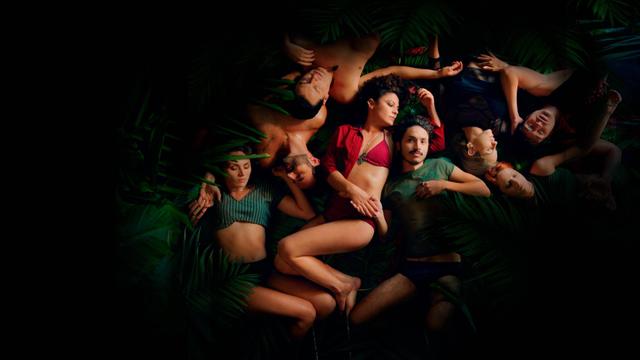 Imagen Las Iguanas
