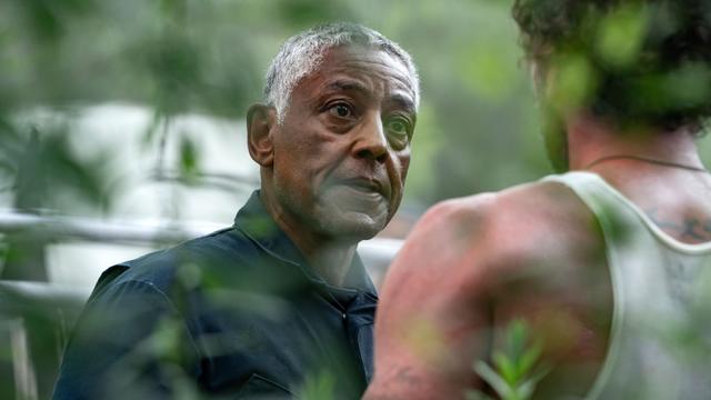 Imagen Parish 1x2