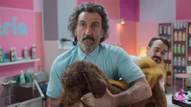 Imagen Animal 1x3